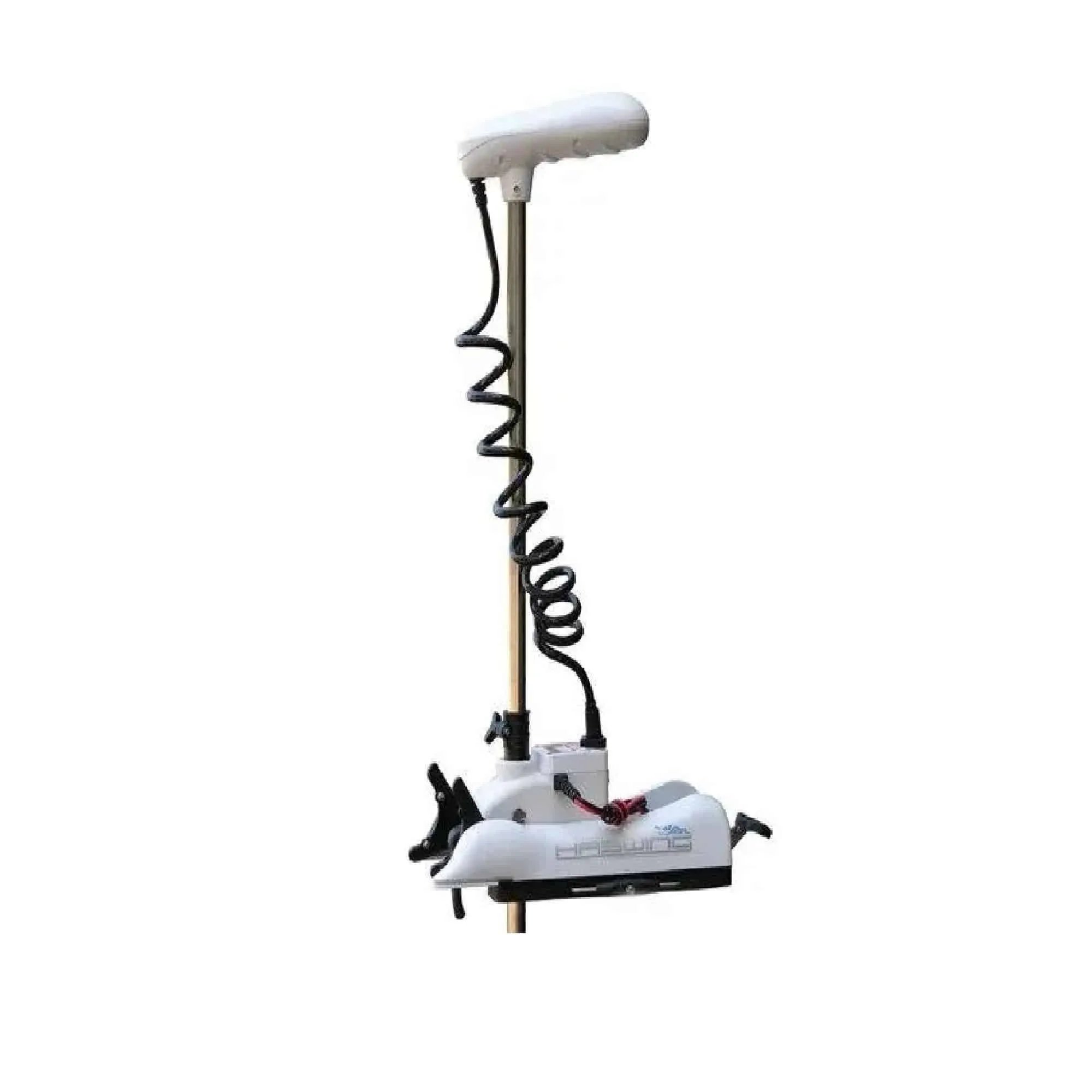 chovnovij-elektromotor-gps-haswing-cayman-b-80 (1)